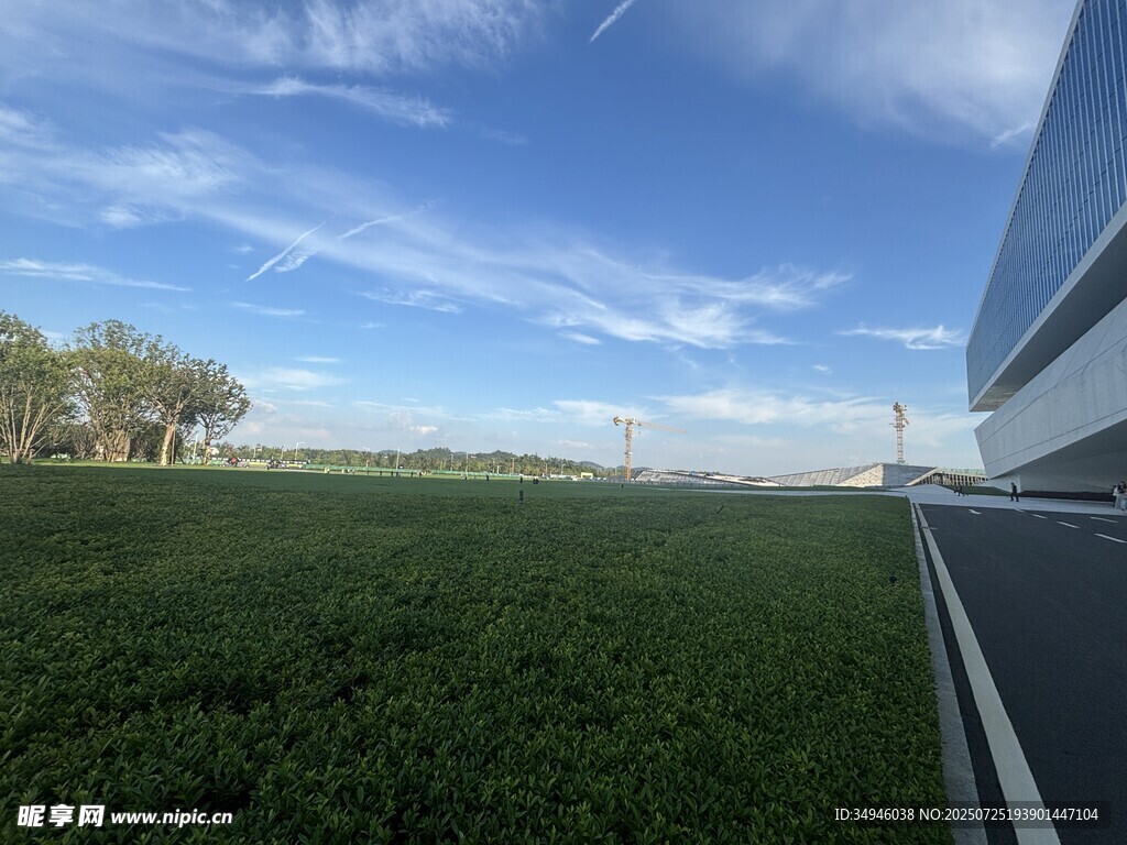 公路旁的广阔绿野蓝天