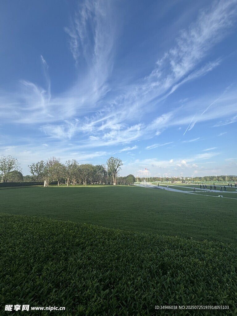 广袤田野与蓝天白云美景