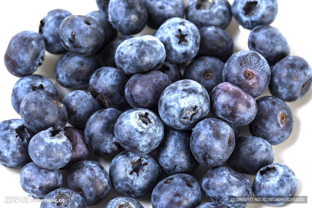 蓝莓果实
