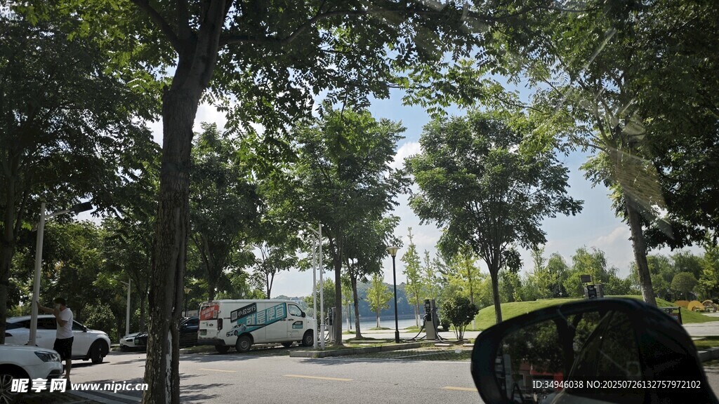 城市街道绿树成荫景象