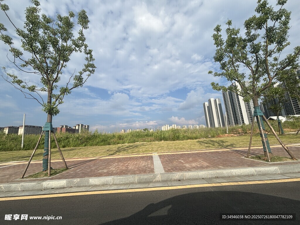 城市道路旁的清新风景