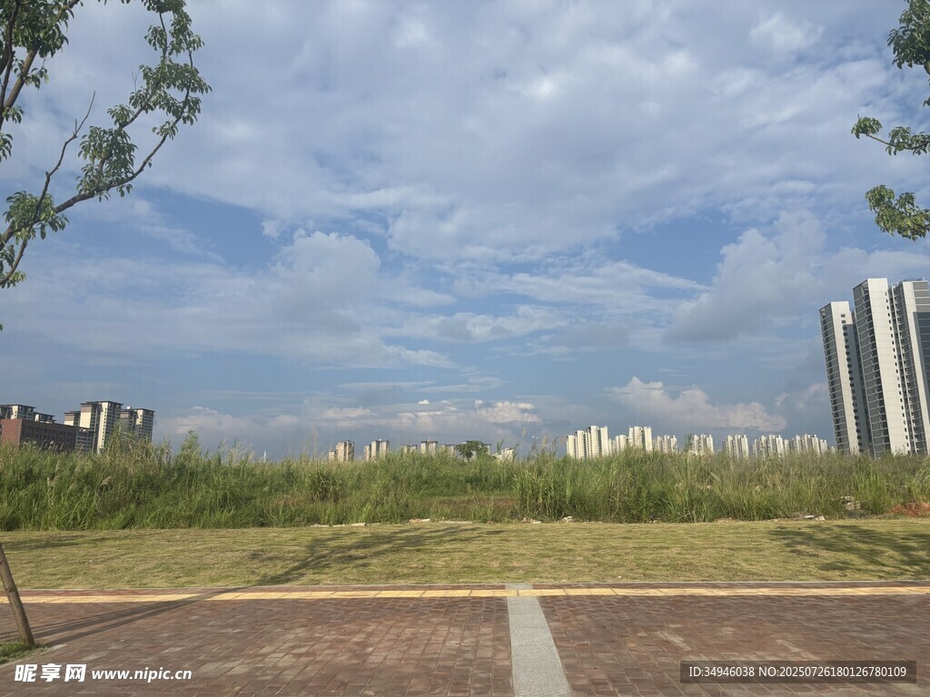 城市开阔绿地与高楼景观