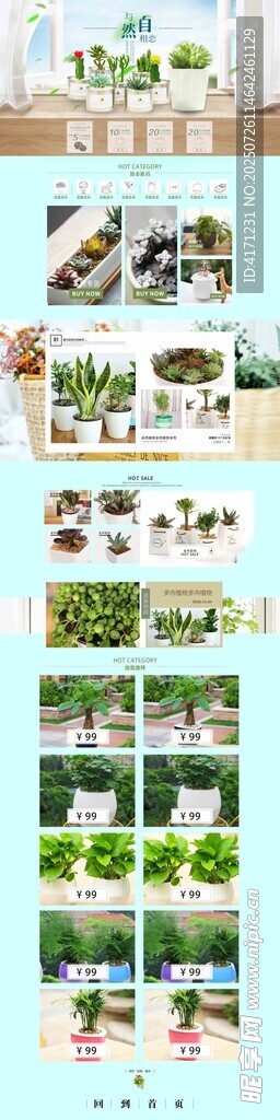 多样绿植景观展示