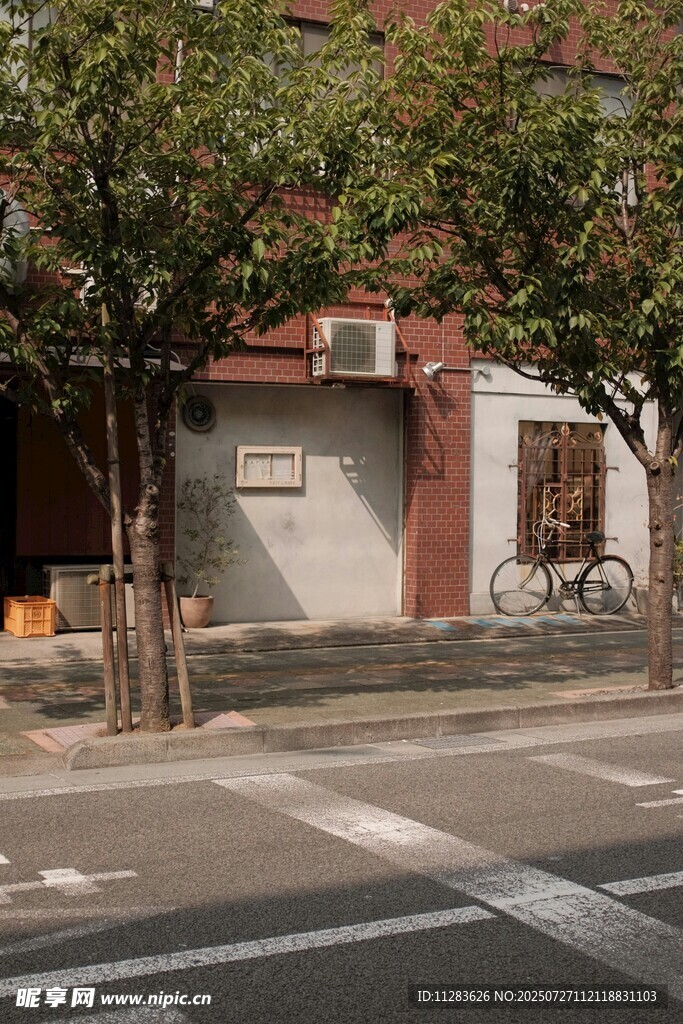 街边静谧的建筑与绿树
