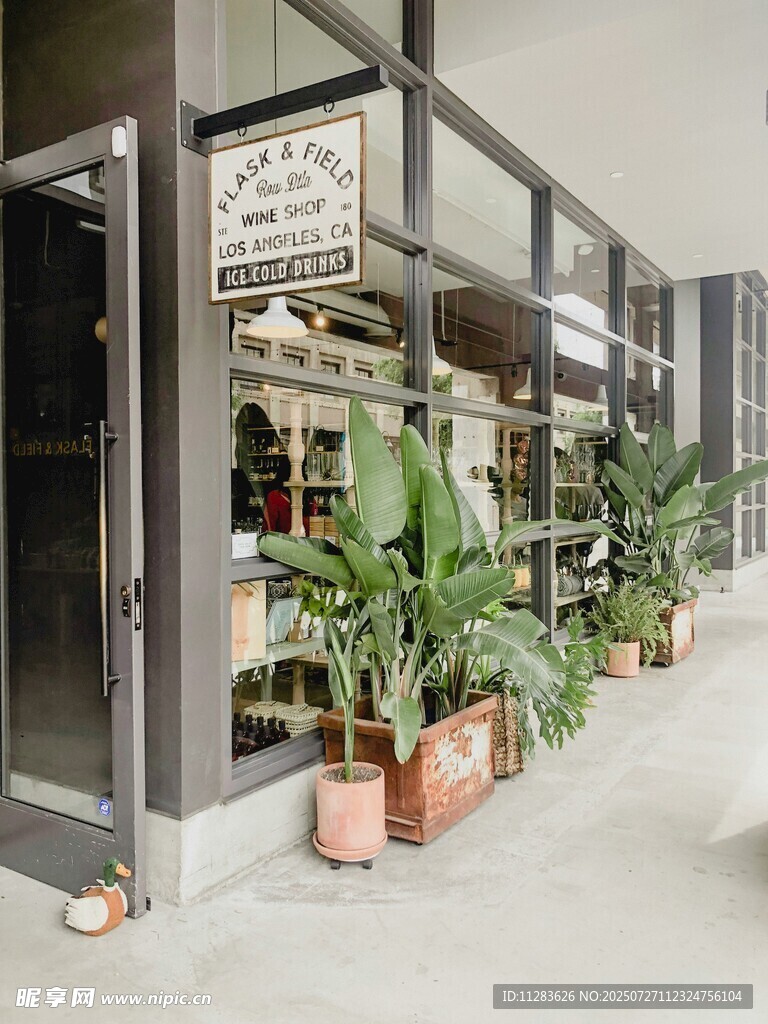 玻璃门旁的绿植景观