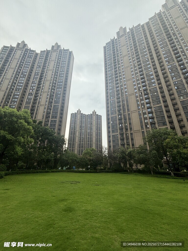 城市草坪旁的高楼景观