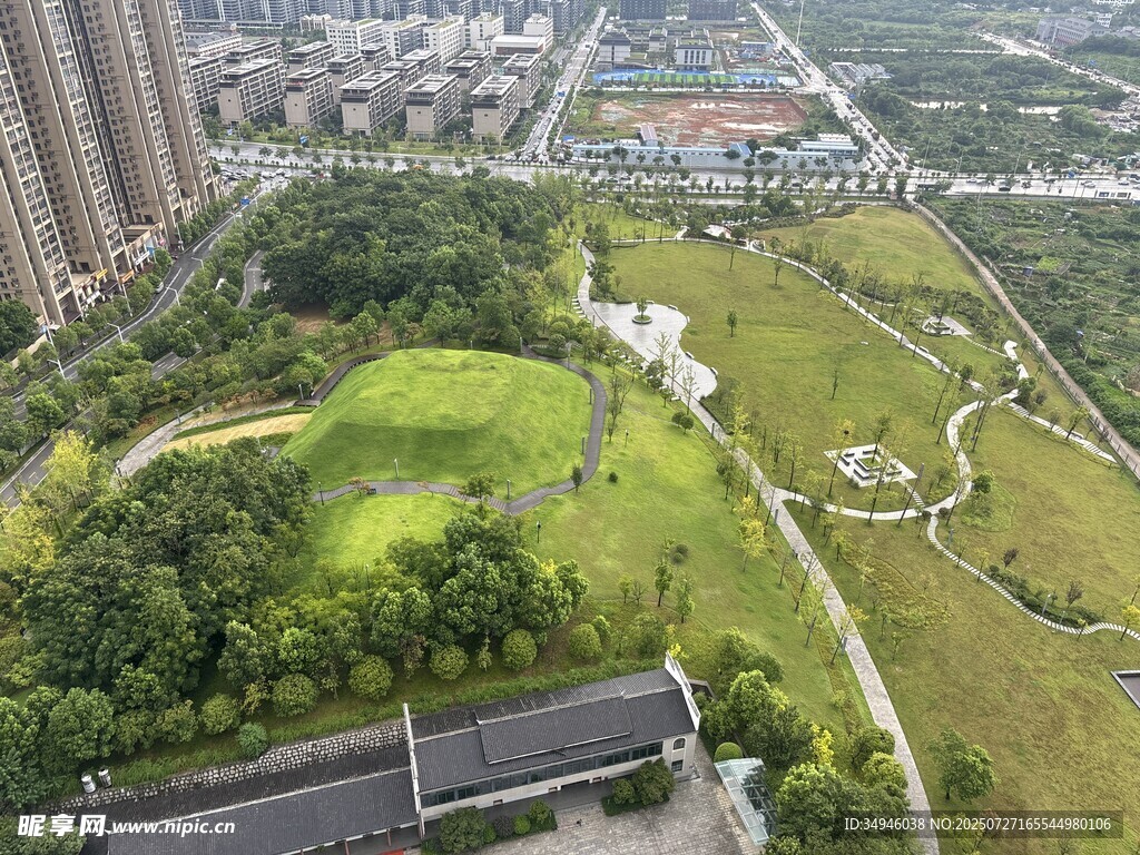 城市中的绿意盎然公园景观