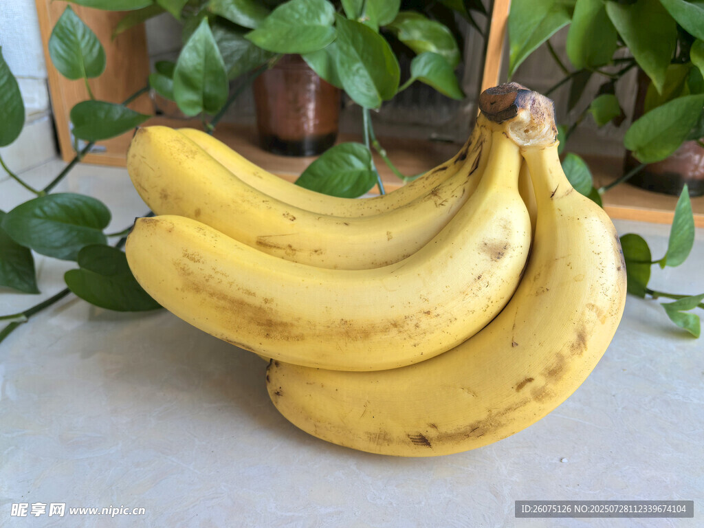 一串新鲜黄香蕉