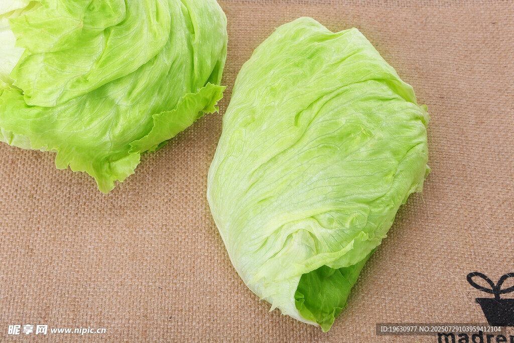 新鲜生菜叶片展示