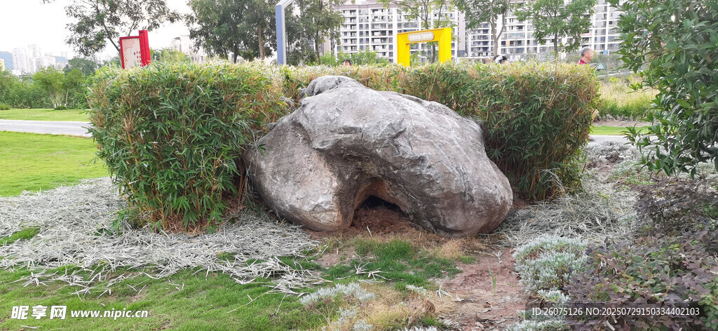 园林景观中的巨石绿植