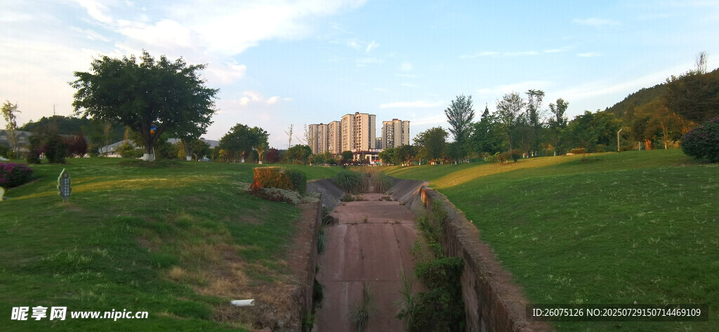 郊外防汛沟壑旁的绿意风景