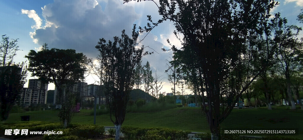 黄昏下的郊外自然风光景色