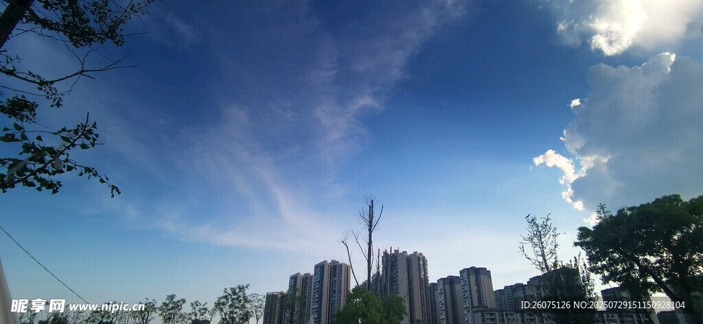 城市天际线与蓝天绿树