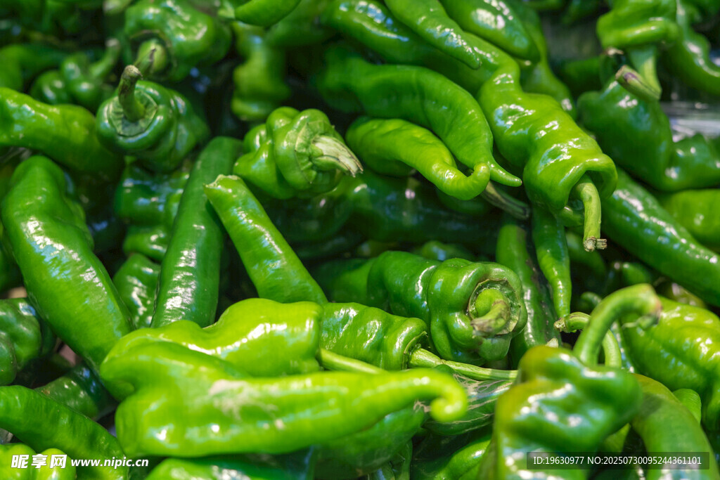 鲜绿饱满的青椒