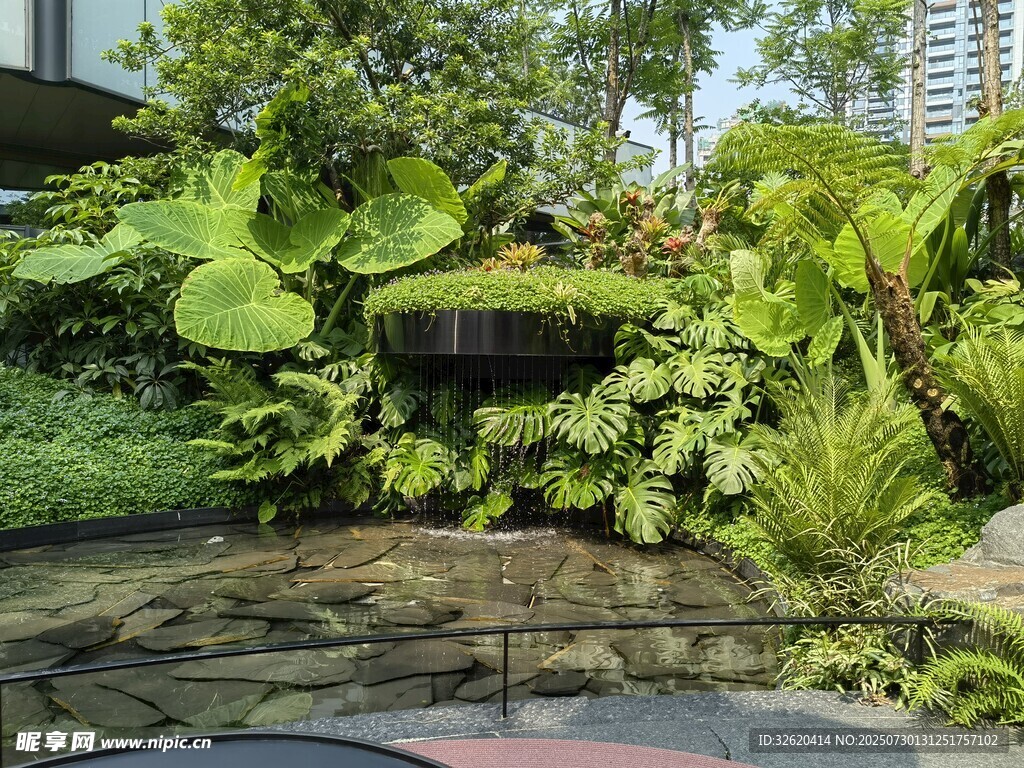 庭院绿植景观一角