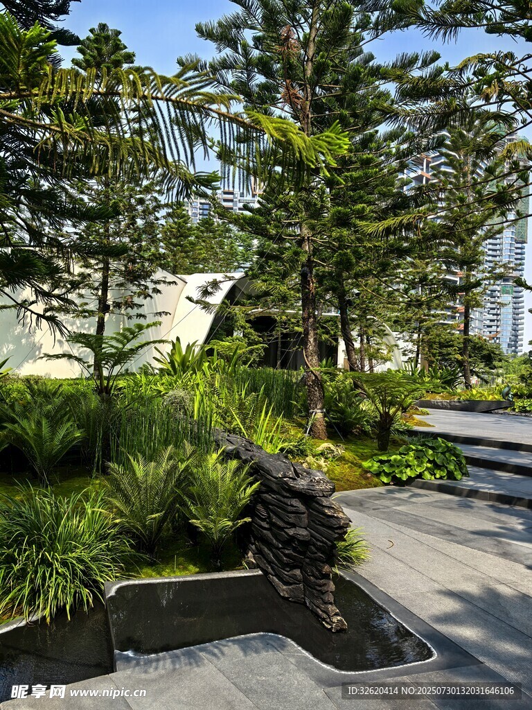 城市中的静谧绿植景观