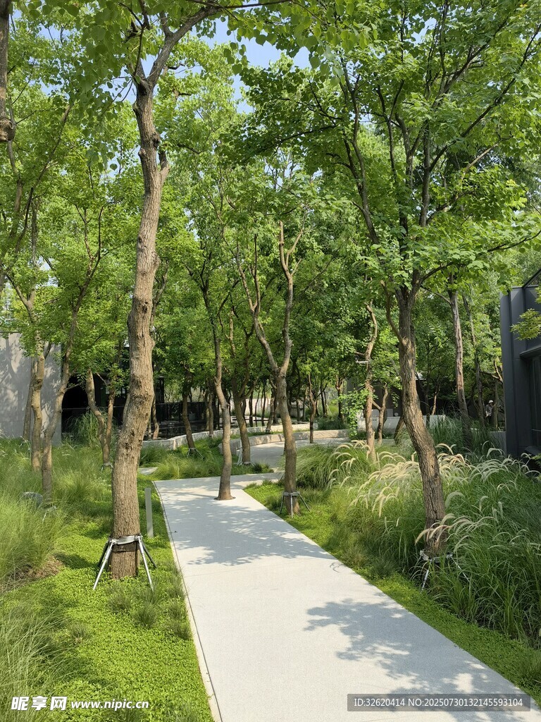 林间清幽步道