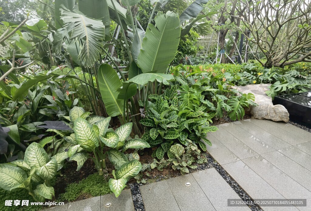 庭院绿植景观一角