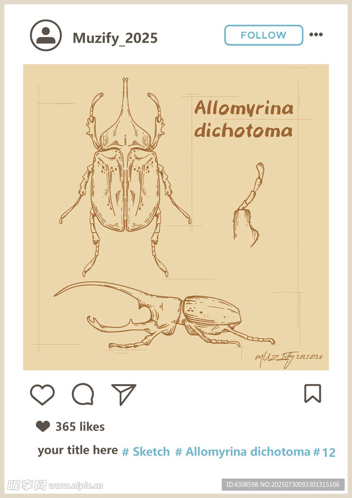 双叉犀金龟素描画