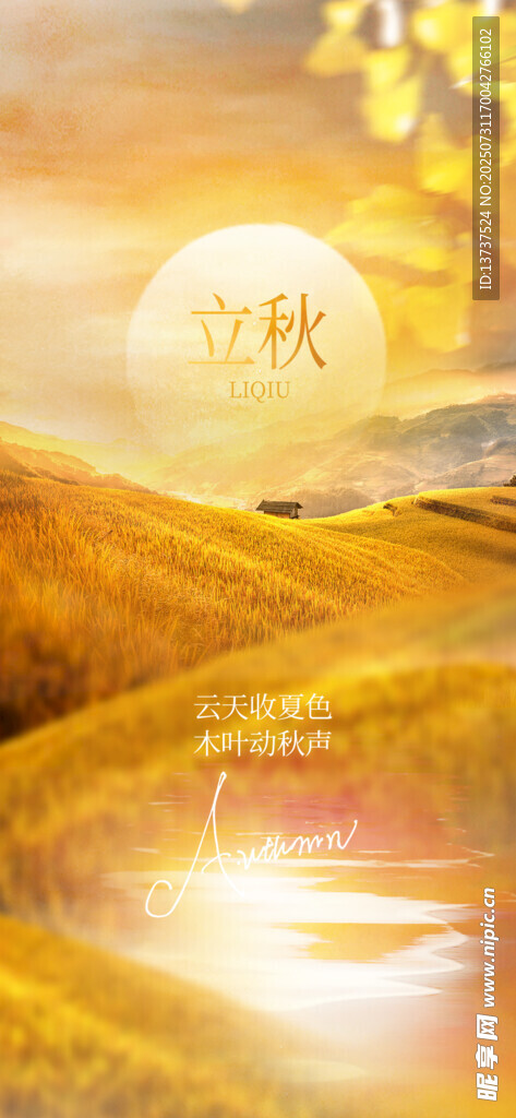 立秋