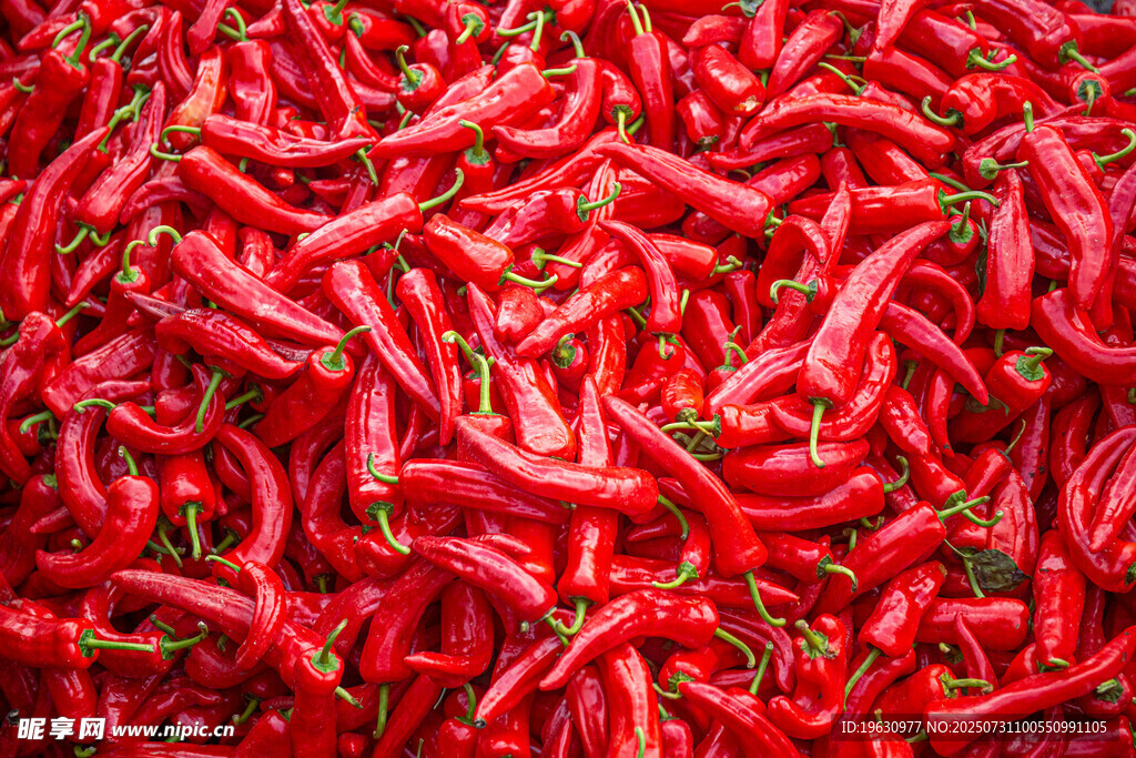 红辣椒