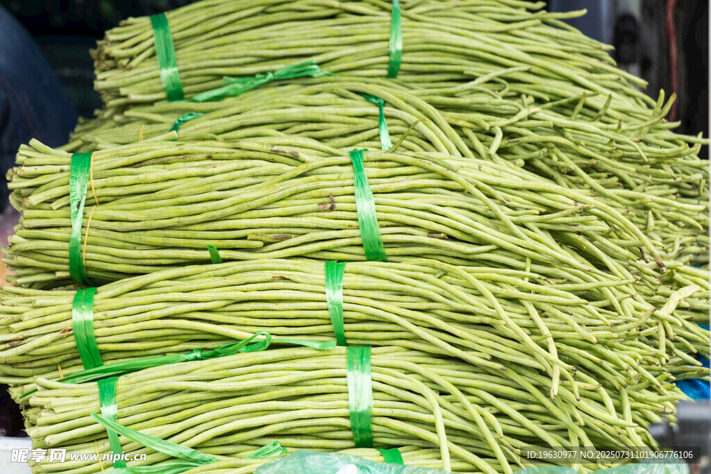 新鲜长豆角