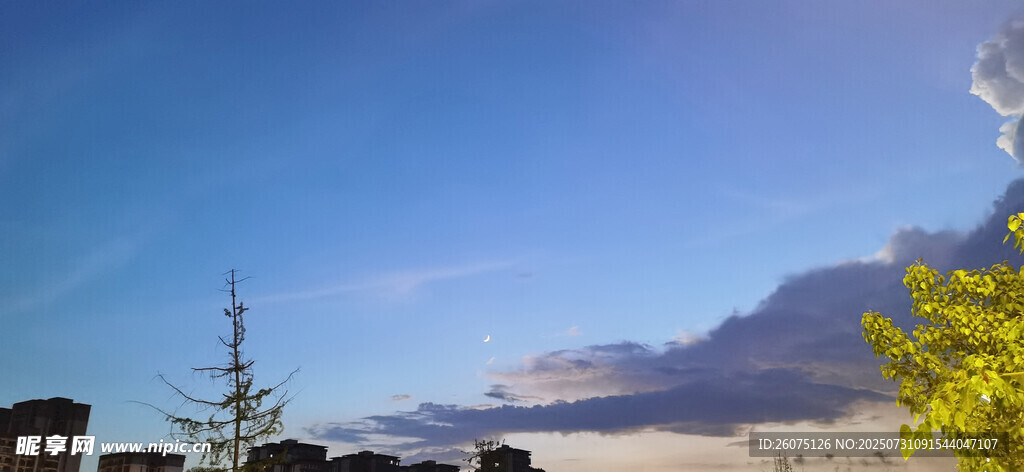 蓝天绿树间的城市远景