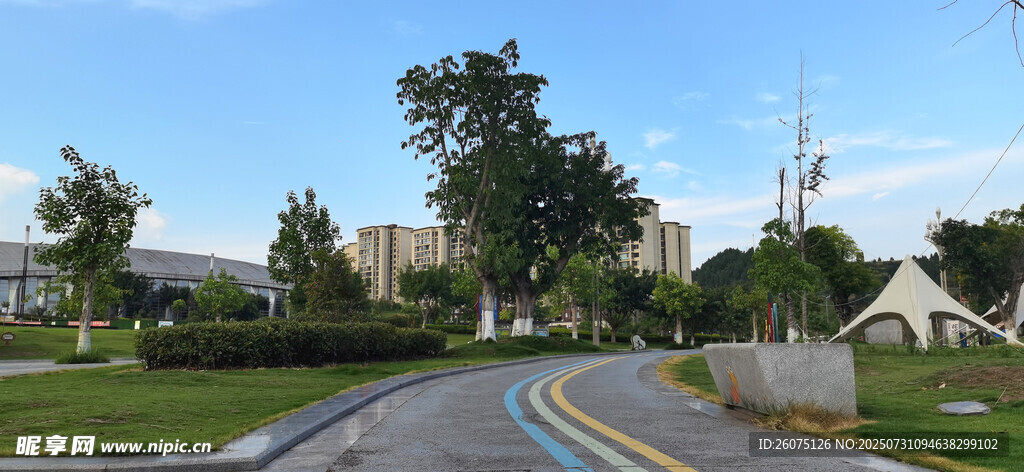 公园里宁静公路风景
