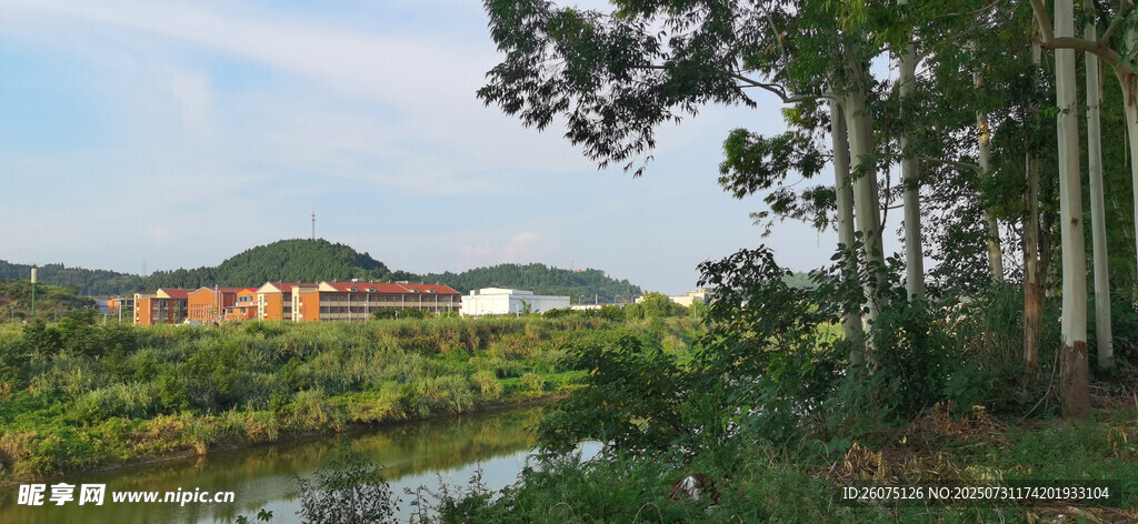 乡村河畔美景