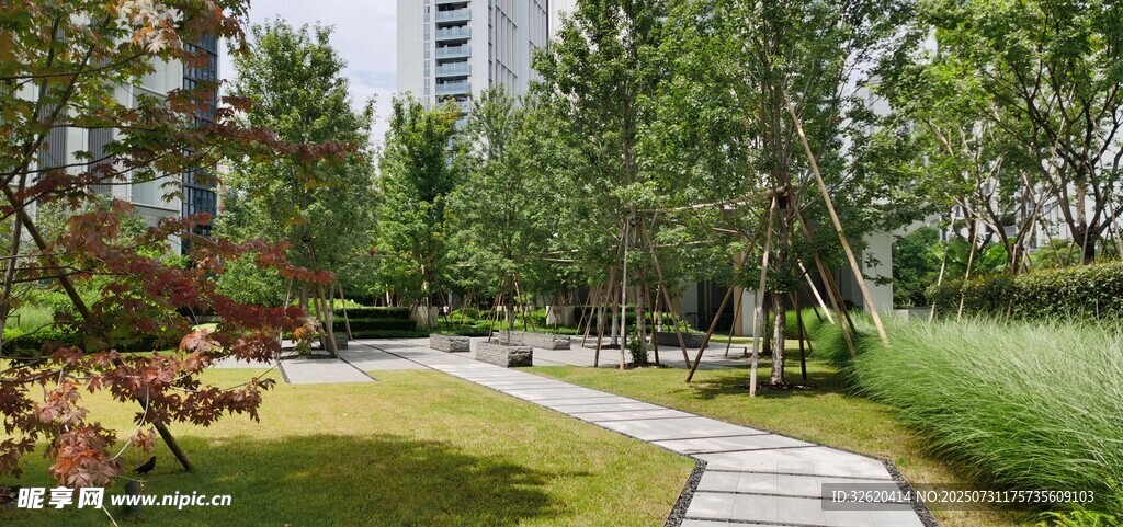 城市中的静谧园林景观