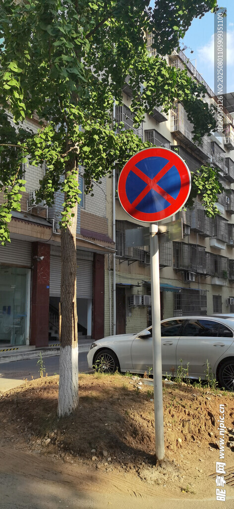 道路禁停标志与车辆