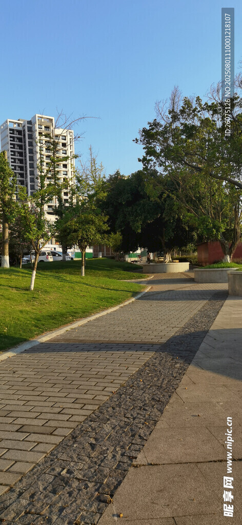 城市中的宁静林荫步道