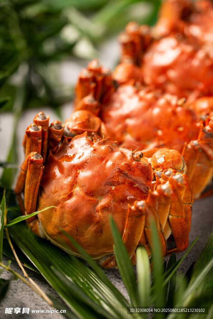 美味大闸蟹配翠绿叶片