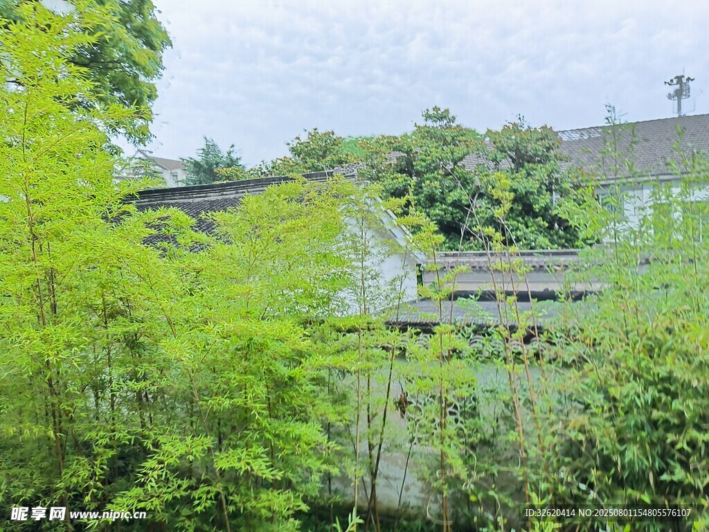 繁茂绿植中的隐秘建筑