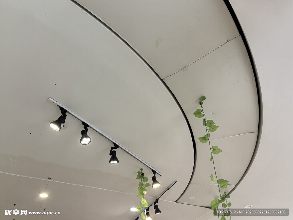 弧形天花板绿植装饰灯具