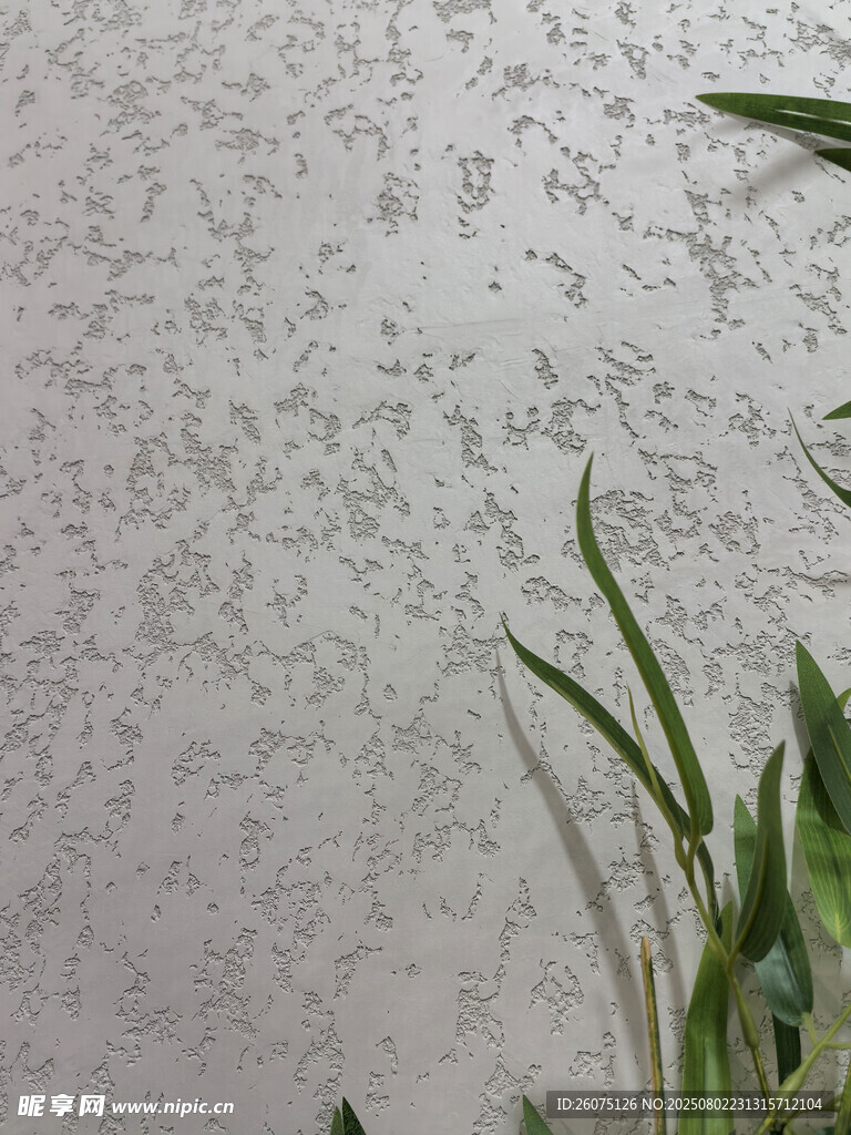 纹理墙面旁的翠绿植物