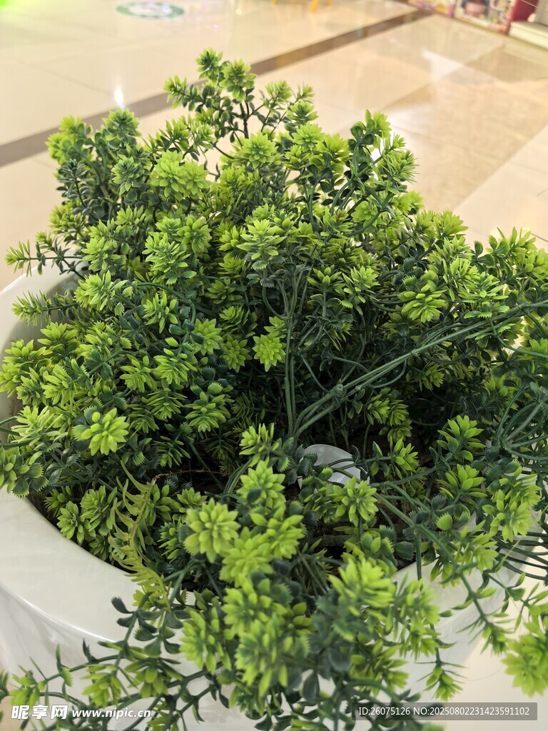 翠绿树脂盆栽植物特写
