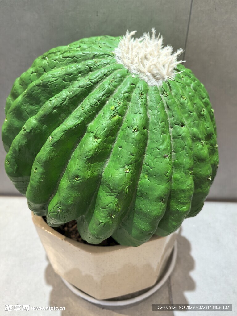 翠绿仿真仙人球盆栽