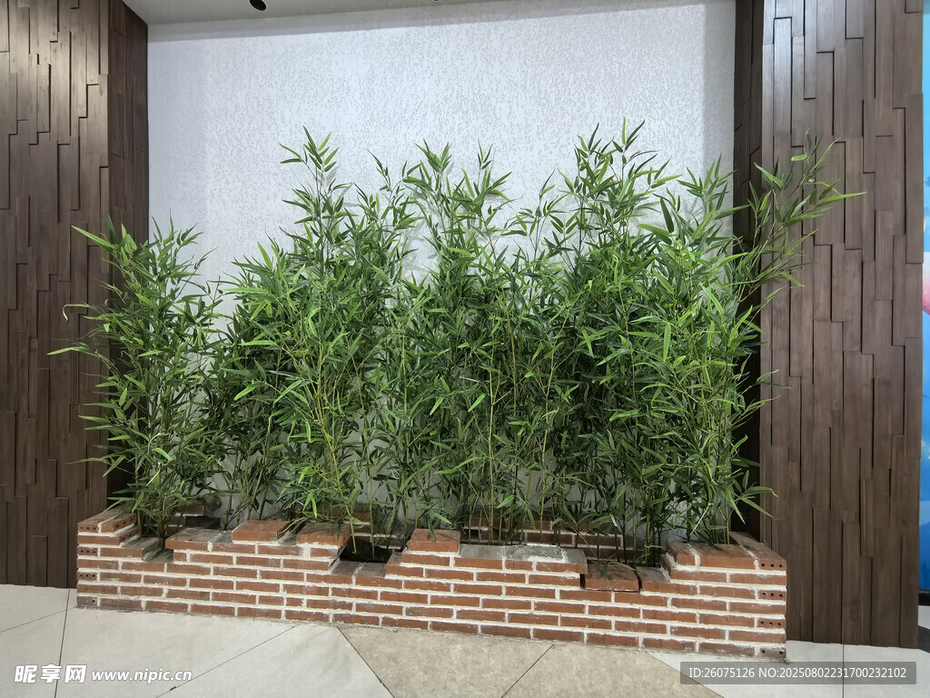 墙边仿真绿植景观