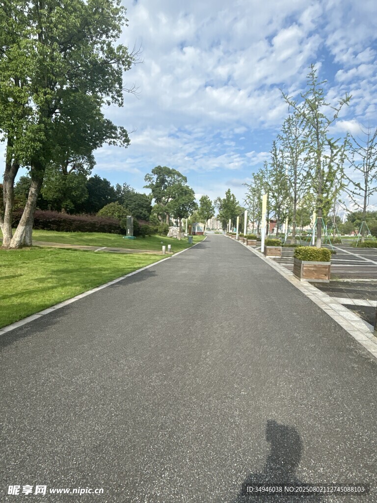 宽阔柏油道路与绿植景观