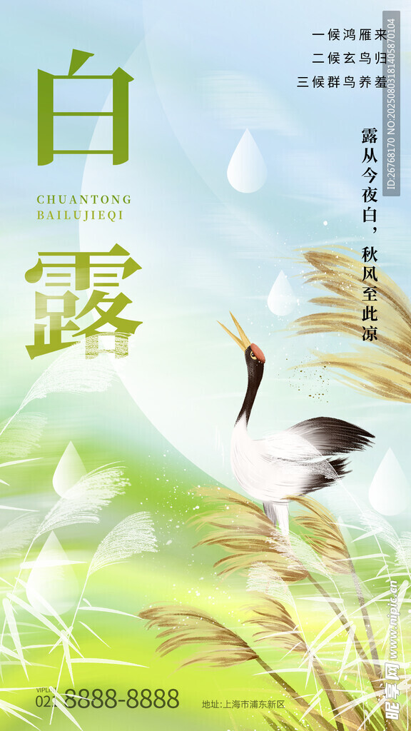 弥散意境风白露节气全屏海报