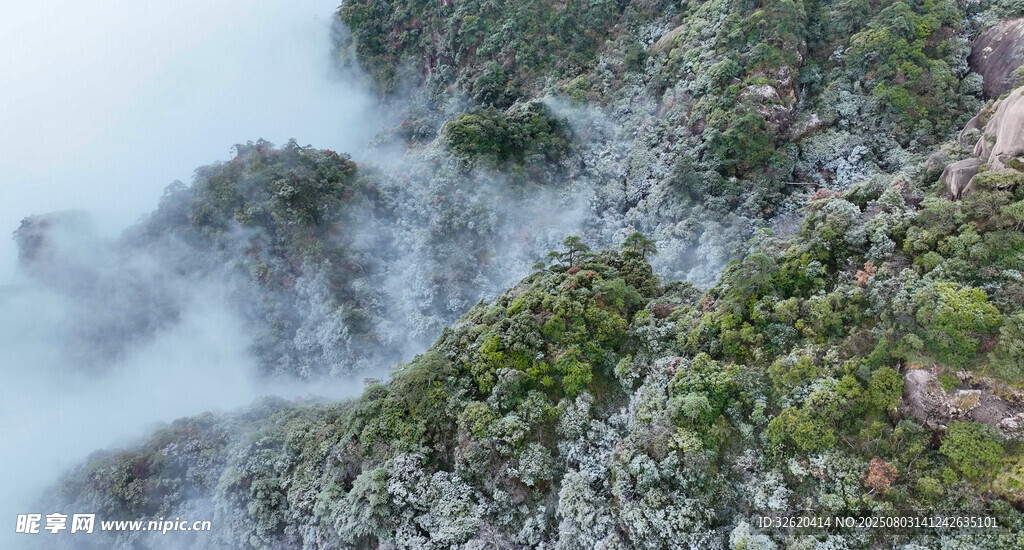 山间云雾缭绕的翠绿景致