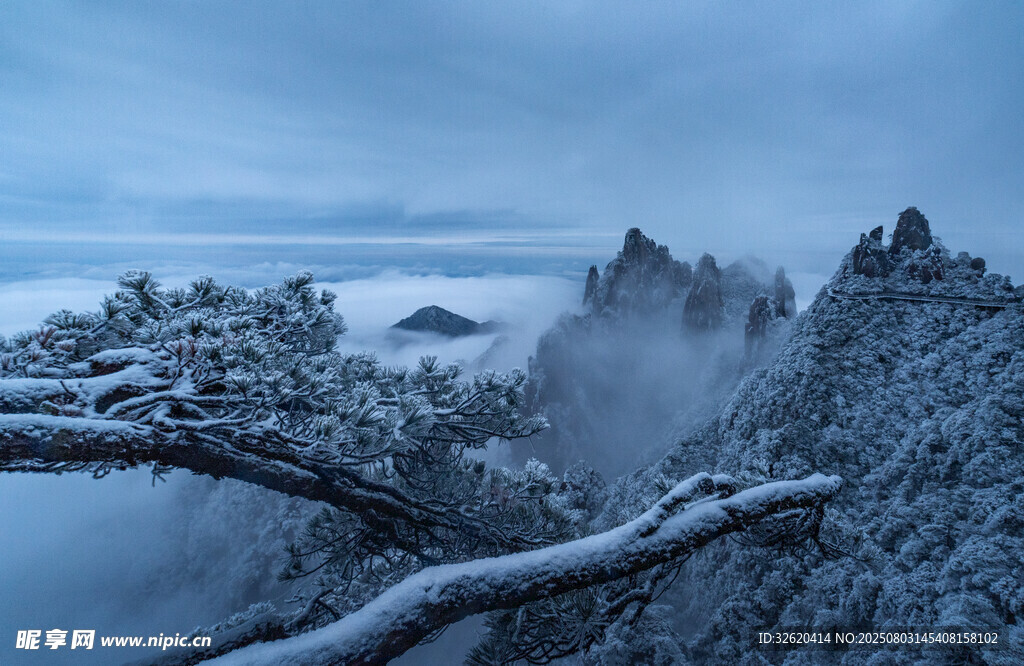 雪覆山林的静谧冬日景象