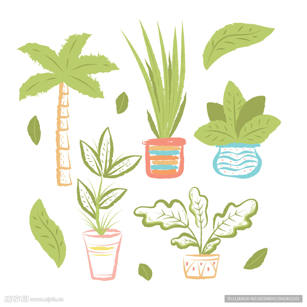 手绘盆栽植物插画