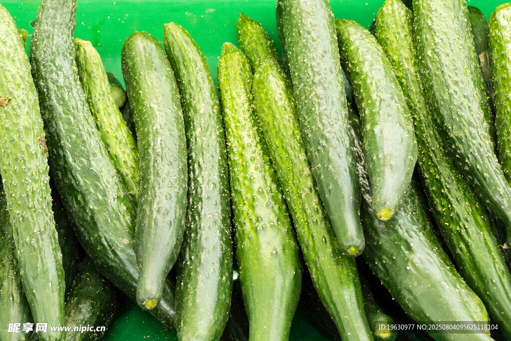 新鲜黄瓜