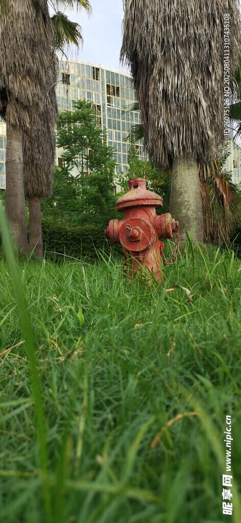 翠绿草地与红色消防栓