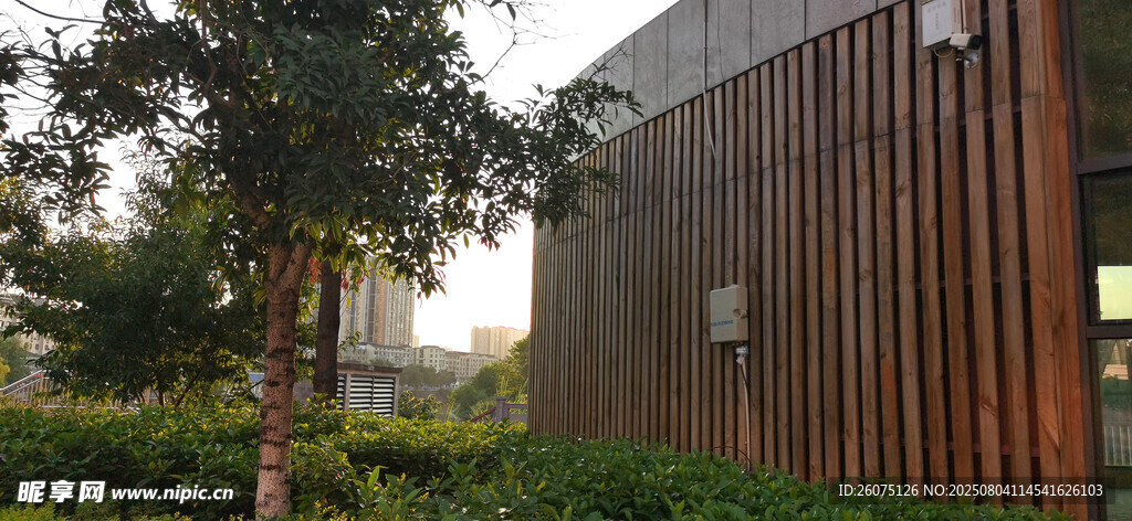 现代木质墙面建筑旁的绿植景观