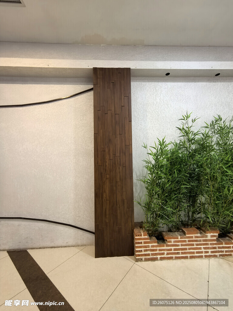 室内绿植装饰角落