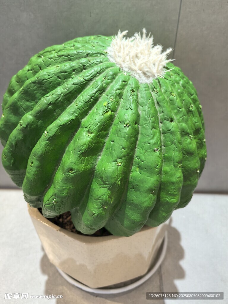 圆滚滚仿真仙人球盆栽