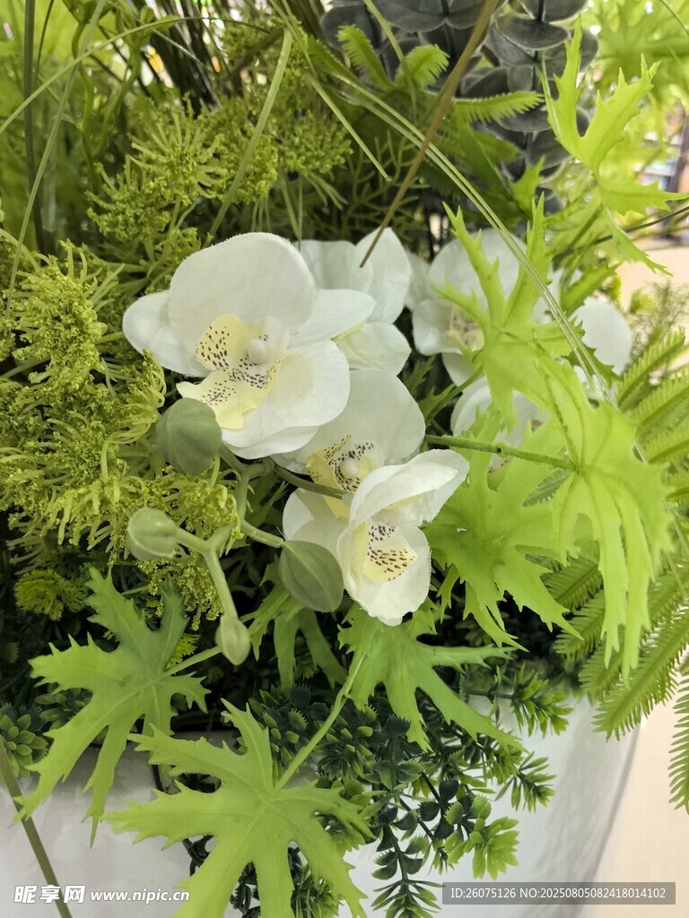 仿真白色花卉与翠绿植物组合